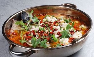 鱼赐加盟费与餐饮管理解析