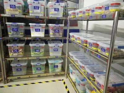 中成伟业第80期《4D食品安全现场管理体系》公开课在济南站隆重举办